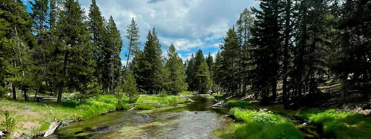Yellowstone-National-Park-3